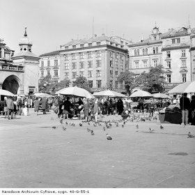 Zobacz obraz 